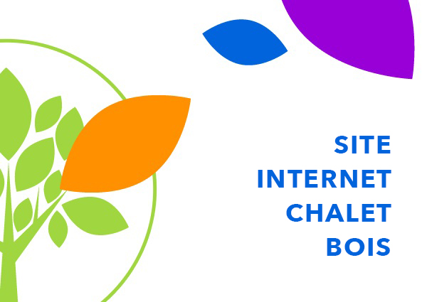 Création de l'interface graphique du site internet à partir du logo